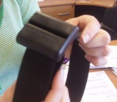 Park Sentry Strap Lock Buckle